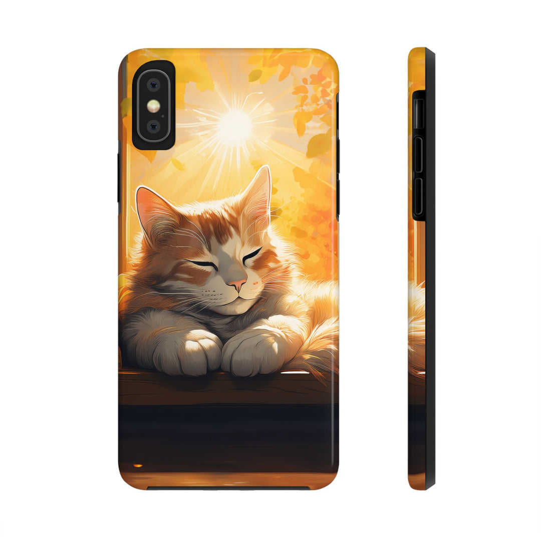 Sunlit Cat Tough Phone Case – Warmth and Protection in One